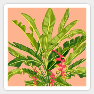 Birds of paradise Heliconia Sticker